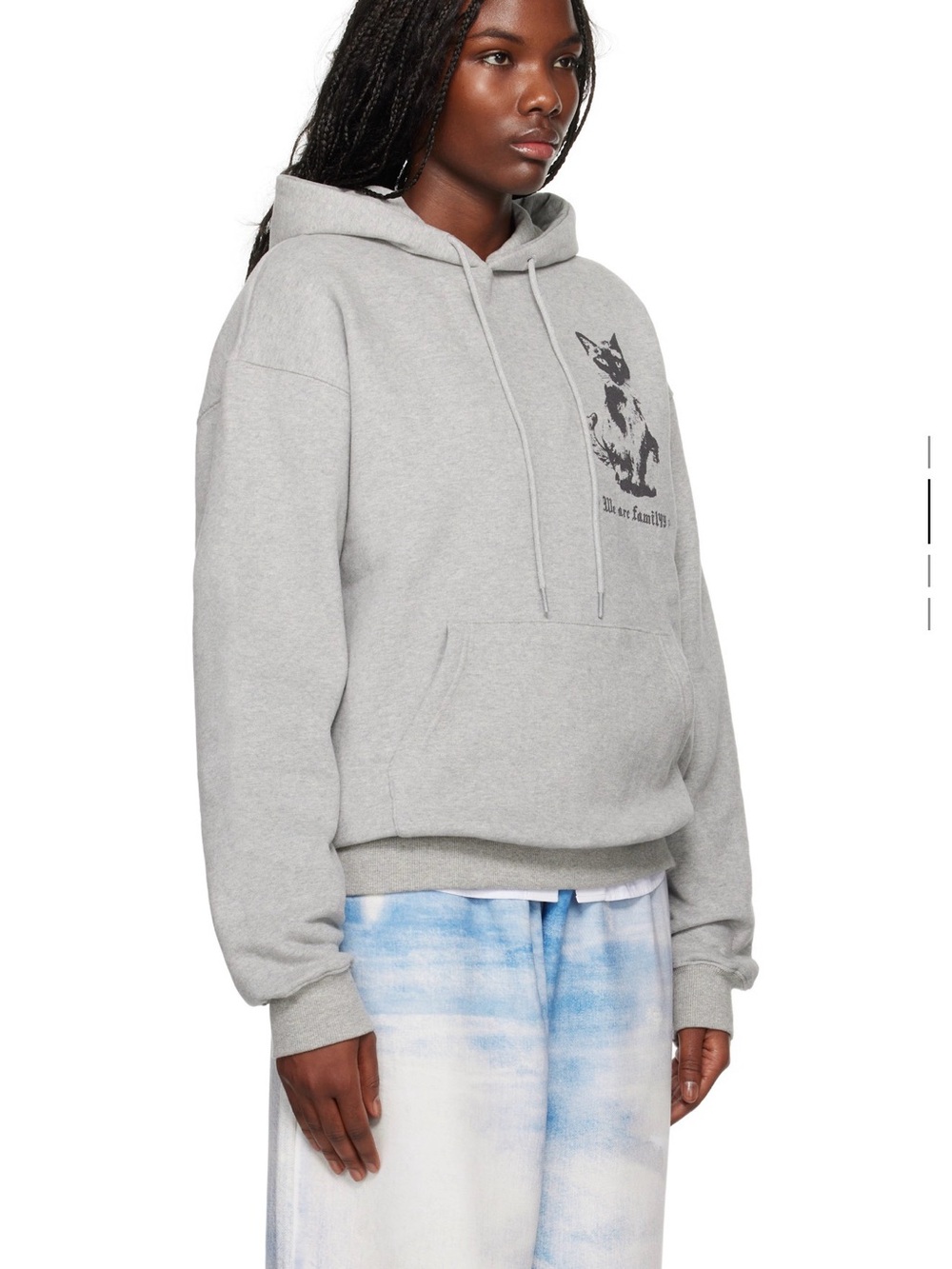 We Are Family Gray Cat Graphic Hoodie - Pets Cat Apparel - Picture 2 of 6